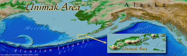 Unimak Island Area in relation to Alaska