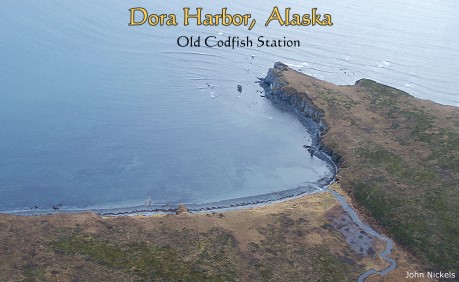 Dora Harbor, Unimak Island, Alaska: Codfish Station