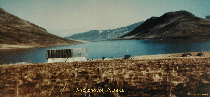 Morzhovoi, Alaska:  looking north