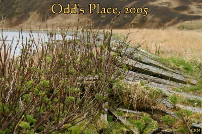 Odd's Place, Sourdough Flats, Unimak Island, Alaska