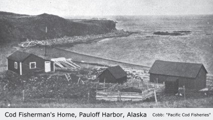 Fisherman's Home, Sanak Island, (Pauloff Harbor), Alaska:  Cobb, ca. 1915