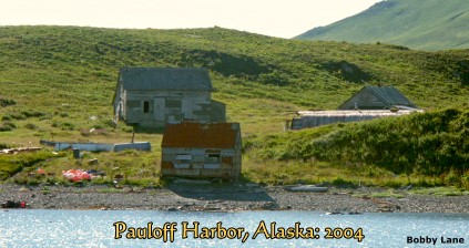 Pauloff Harbor, Alaska: 2004, location of old Codfish Station