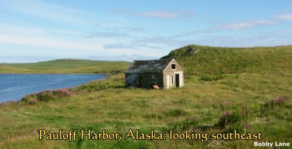 Pauloff Harbor, Sanak Island, Alaska, looking southeast:  2004