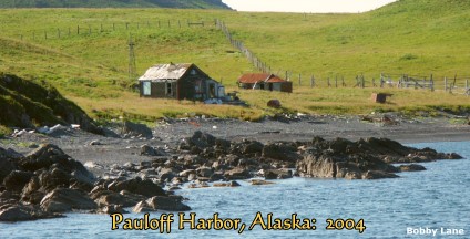 Pauloff Harbor, Sanak Island, Alaska, Fisherman's Home, Wind Generator: 2004