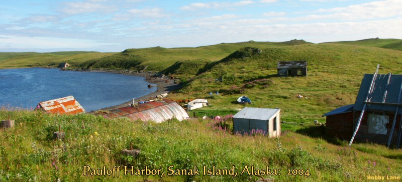 Pauloff Harbor, Sanak Island, Alaska: 2004, Bobby Lane Photo