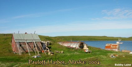 Pauloff Harbor, Alaska: 2004, looking north,  B.Lane Photo