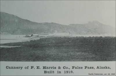 P.E. Harris Co., Salmon Cannery, False Pass, Alaska 1919
