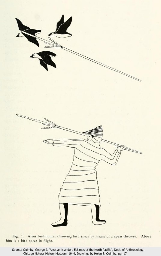 Aleut hunter with bird spear