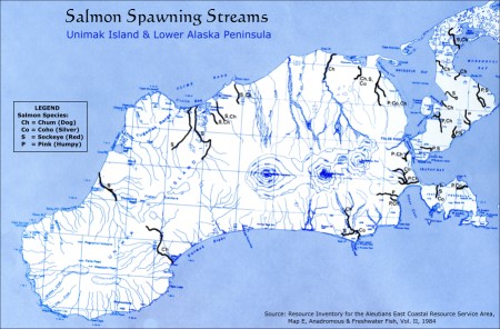 Salmon Spawning Streams on Unimak Island, Alaska