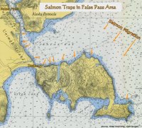 Salmon Traps in False Pass, Alaska area