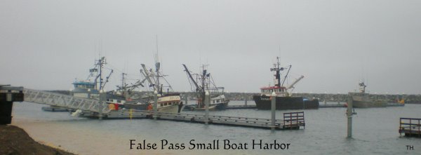 False Pass Small Boat Harbor