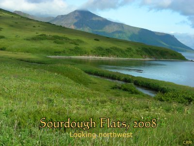 Sourdough Flats, Unimak Island, Alaska, look northwest