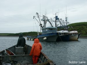 Three salmon seine boats
