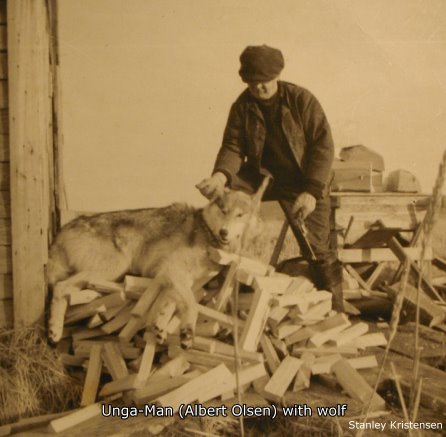 Unga Man (Albert Olsen) with Wolf, False Pass, Alaska