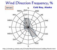 Wind Direction Frequency, Cold Bay, Alaska:  January